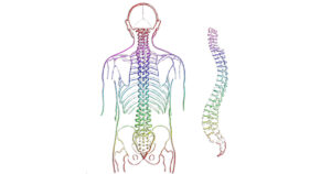 What does it mean to be adjusted?