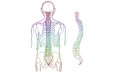 What does it mean to be adjusted?