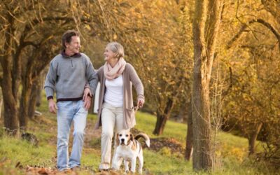 Degenerative Disc Disease Treatment