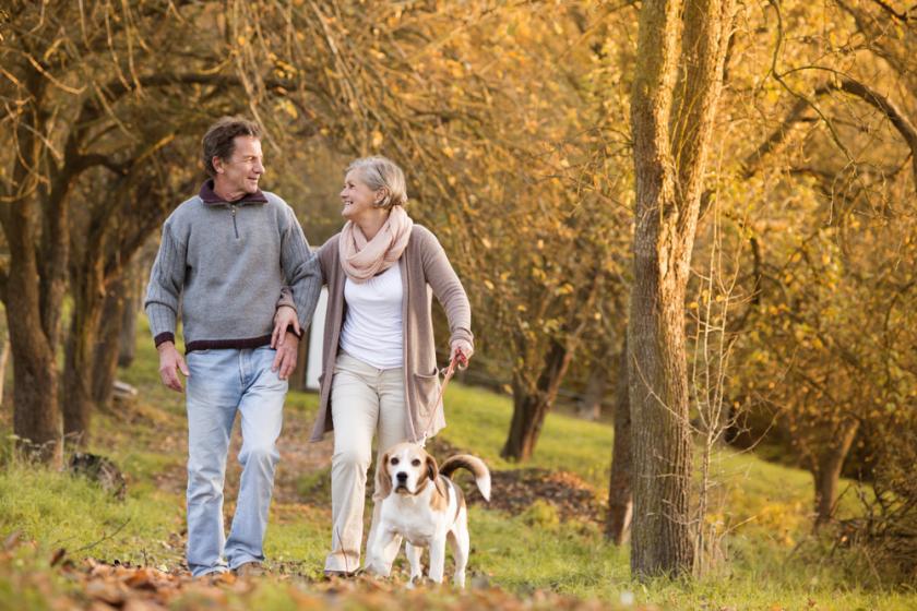 Degenerative Disc Disease Treatment
