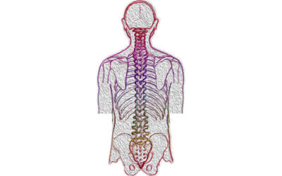 How Chiropractic Treatments Can Reverse Scoliosis